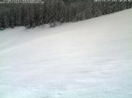 Archiv Foto Webcam Skigebiet Kaltenbronn 09:00