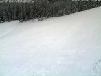 Archiv Foto Webcam Skigebiet Kaltenbronn 11:00