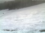 Archiv Foto Webcam Skigebiet Kaltenbronn 11:00