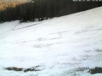 Archived image Webcam Piste ski resort Kaltenbronn 13:00