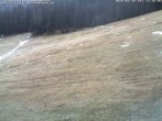 Archiv Foto Webcam Skigebiet Kaltenbronn 11:00