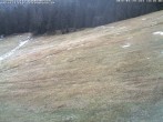 Archiv Foto Webcam Skigebiet Kaltenbronn 13:00