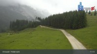 Archived image Webcam Feldernalm in Ehrwald - Zugspitze 10:00