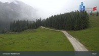 Archiv Foto Webcam Feldernalm in Ehrwald 18:00