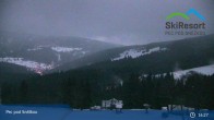 Archiv Foto Webcam Pec pod Sněžkou - Schneekope 00:00