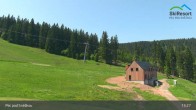 Archiv Foto Webcam Pec pod Sněžkou - Schneekope 12:00