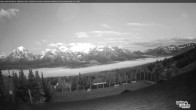 Archiv Foto Webcam Lake Louise: Whitehorn Lodge 02:00