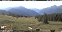 Archiv Foto Webcam Lienz: Blick auf die Meckisalm bei Zettersfeld 06:00