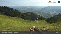 Archiv Foto Webcam Bergstation Brauneck 08:00