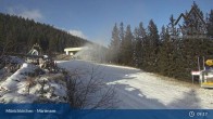 Archived image Webcam Panoramabahn Mönchkirchen - Top Station 08:00