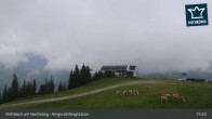 Archived image Webcam Kingscab Top Station 14:00