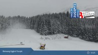 Archiv Foto Webcam Berwang: Egghof Sunjet 14:00