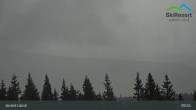 Archived image Webcam Cerná hora 08:00