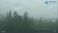 Archived image Webcam Ski Resort Praděd - Jeseniky 14:00