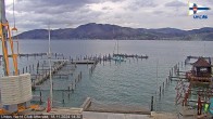 Archived image Webcam Union Yacht Club at Attersee 13:00