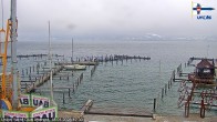 Archiv Foto Webcam Attersee: Union Yacht Club 11:00