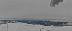 Archiv Foto Webcam Blick vom Belchen 11:00