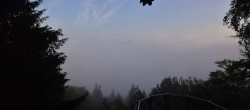 Archiv Foto Webcam Schlögener Donauschlinge (Haibach) 05:00