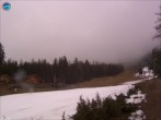 Archiv Foto Webcam Ehrwald: Gamsalm und Gamskarlift 13:00