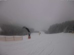 Archived image Webcam Präbichl - Funslope 13:00