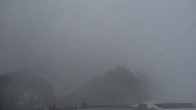 Archiv Foto Webcam Ciampinoi 11:00