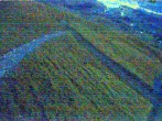 Archiv Foto Webcam Stoos: Bergstation Klingenstock 03:00
