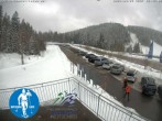 Archived image Webcam Cross Country Skiing Center Notschrei 11:00