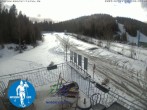 Archiv Foto Webcam Loipenzentrum Notschrei 11:00