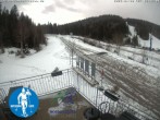 Archived image Webcam Cross Country Skiing Center Notschrei 11:00