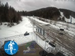 Archived image Webcam Cross Country Skiing Center Notschrei 13:00