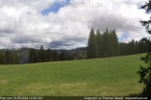 Archived image Webcam Cross Country track Stuebenwasenspur, mount Notschrei 11:00