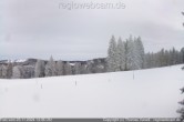 Archiv Foto Webcam Notschrei: Loipe Stübenwasen 14:00