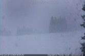 Archived image Webcam Cross Country track Stuebenwasenspur, mount Notschrei 07:00