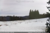 Archiv Foto Webcam Notschrei: Loipe Stübenwasen 09:00