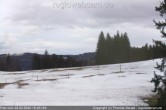 Archived image Webcam Cross Country track Stuebenwasenspur, mount Notschrei 17:00