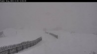 Archived image Webcam Shuttleberg: Top Station Powder Shuttle 13:00