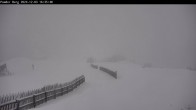 Archived image Webcam Shuttleberg: Top Station Powder Shuttle 15:00