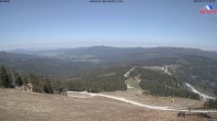 Archiv Foto Webcam Großer Arber: Nordhang 11:00