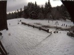 Archiv Foto Webcam Hundseck Terrasse Skilift 11:00