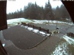 Archived image Webcam Bühlertallift Hundseck: Deck by the Lift 07:00