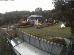 Archiv Foto Webcam Sommerrodelbahn Peterberg 11:00