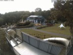 Archiv Foto Webcam Sommerrodelbahn Peterberg 05:00