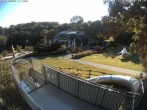 Archiv Foto Webcam Sommerrodelbahn Peterberg 07:00
