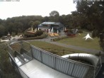 Archiv Foto Webcam Sommerrodelbahn Peterberg 06:00