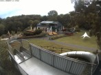 Archiv Foto Webcam Sommerrodelbahn Peterberg 07:00