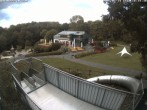 Archiv Foto Webcam Sommerrodelbahn Peterberg 17:00