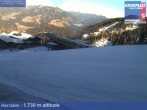 Archived image Webcam Alp Herzlalm 13:00