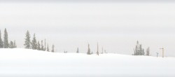 Archived image Webcam Aspen Snowmass: Elk Camp 15:00