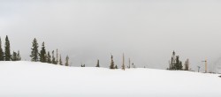 Archiv Foto Webcam Snowmass Mountain Elk Camp Summit 13:00