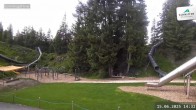 Archiv Foto Webcam Sonnkogel Schmitten 13:00